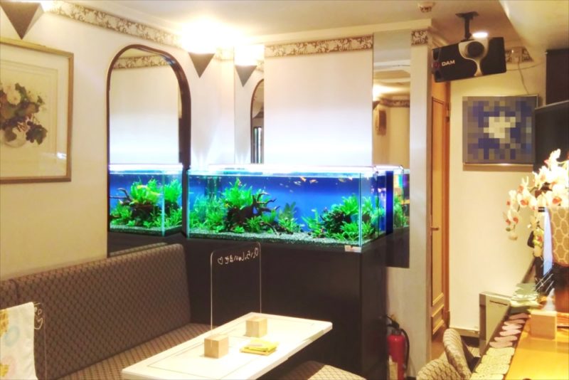 飲食店 120cm淡水魚水槽 レンタル事例 吉祥寺 水槽画像3