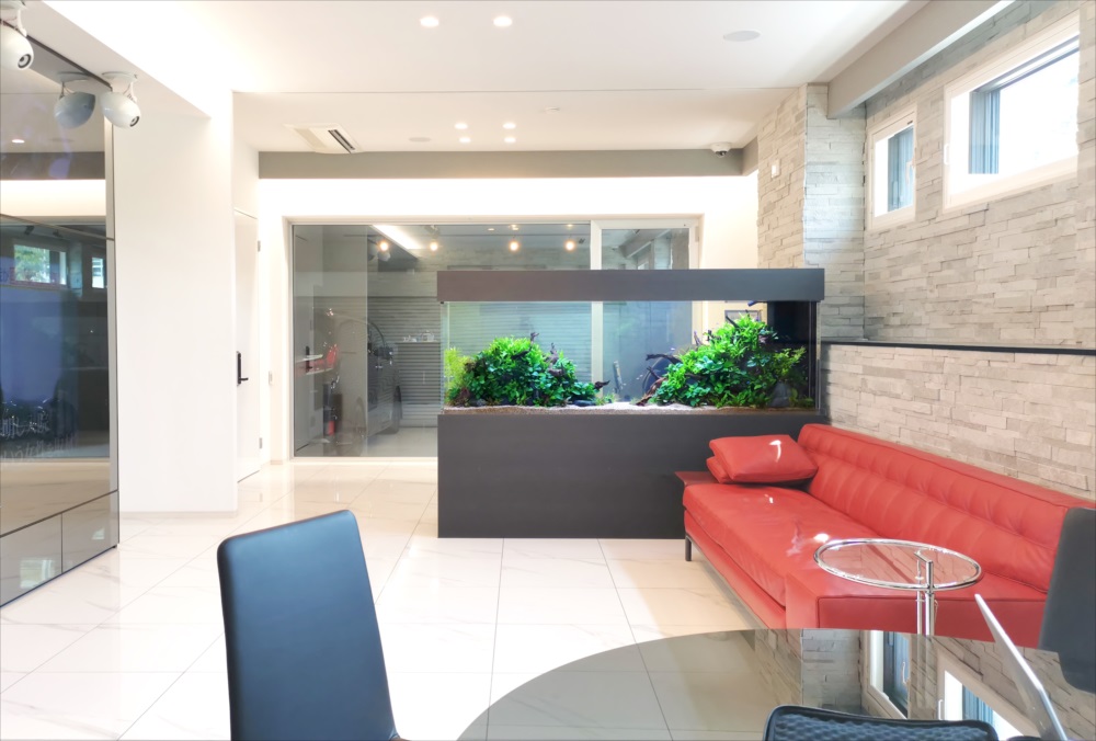 赤いソファがある部屋に設置された大型の水草水槽
