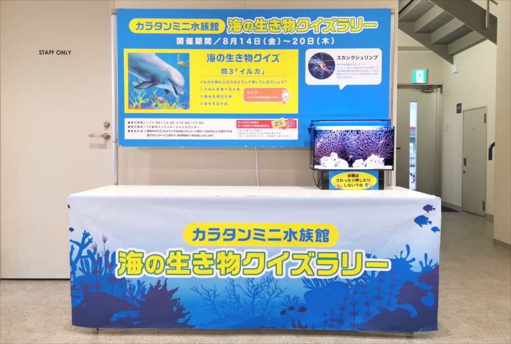 ショッピングセンター　短期イベント　展示水槽 短期レンタル事例のサムネイル画像