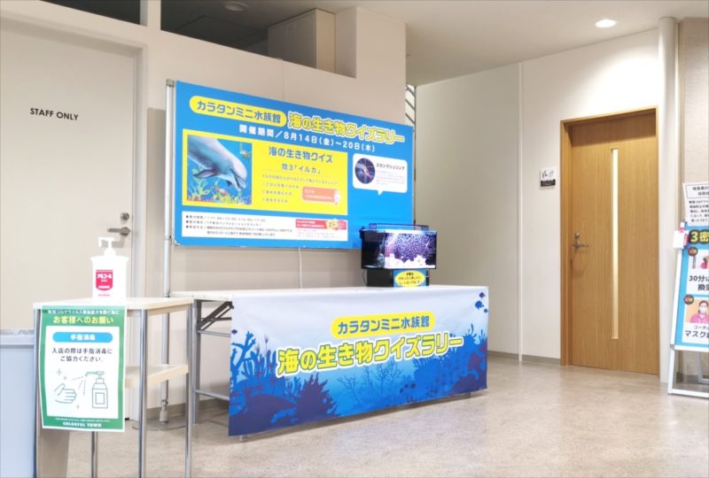 ショッピングセンター　短期イベント　展示水槽 短期レンタル事例 水槽画像２