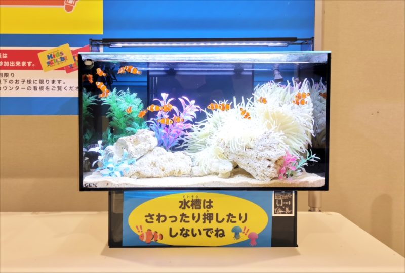 ショッピングセンター　短期イベント　展示水槽 短期レンタル事例 水槽画像３