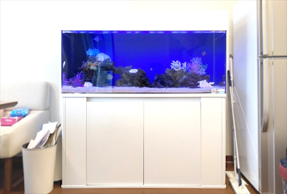 白い水槽台に設置された青い照明の海水魚水槽