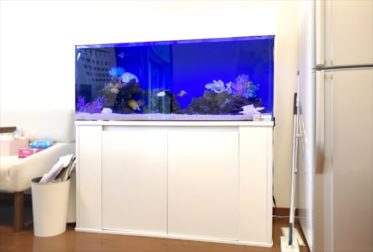 オフィスに設置　120cm海水魚水槽 レンタル事例