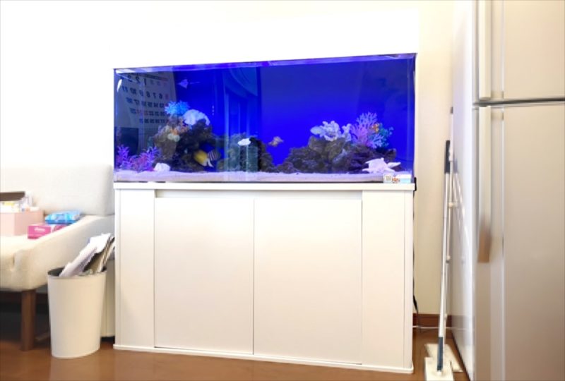 オフィスに設置 120cm海水魚水槽 レンタル事例 水槽画像1