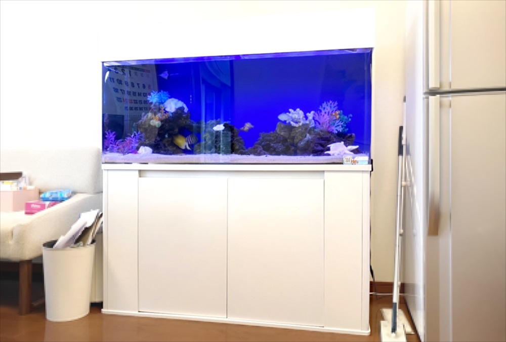 オフィスに設置　120cm海水魚水槽 レンタル事例のサムネイル画像
