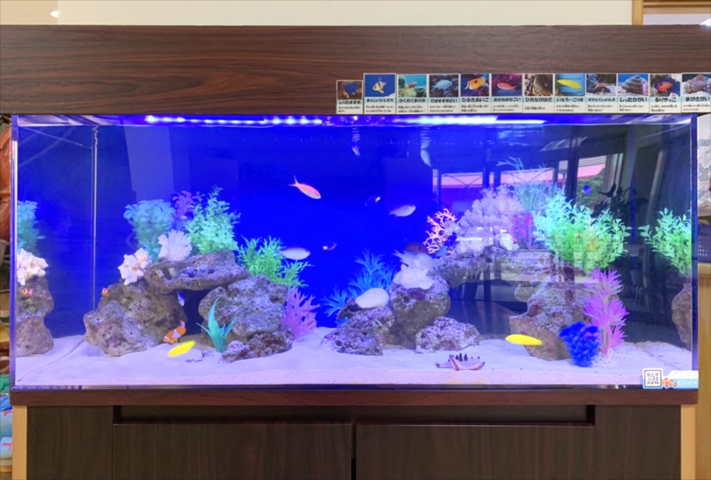 青い照明の海水魚水槽と人工サンゴのレイアウト