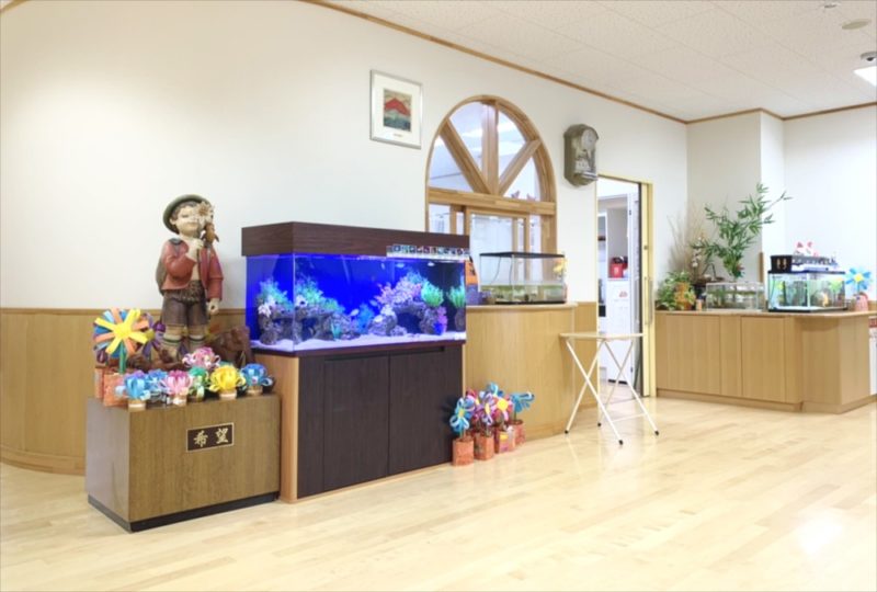 幼稚園のエントランス 120cm海水魚水槽 リース事例 水槽画像5