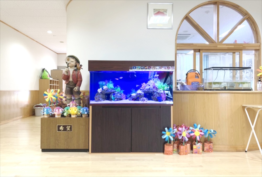 施設内に設置された青い照明の海水魚水槽と置物