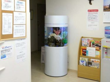 待合室の隅に設置された円柱型の白い海水魚水槽
