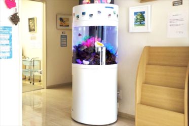 待合室に設置された円柱型の海水魚水槽