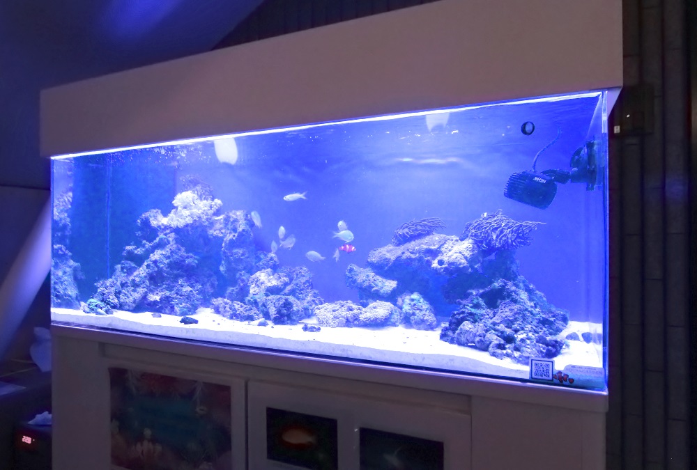 インターナショナル 120cmサンゴ水槽 斜めアップ画像