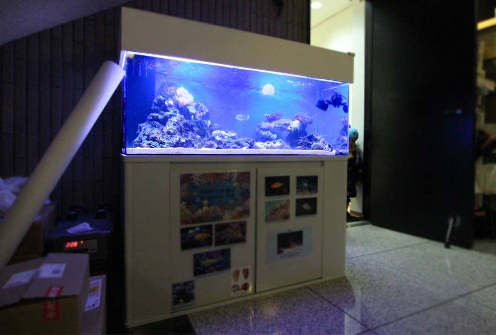 インターナショナル 120cmサンゴ水槽 斜め全体画像