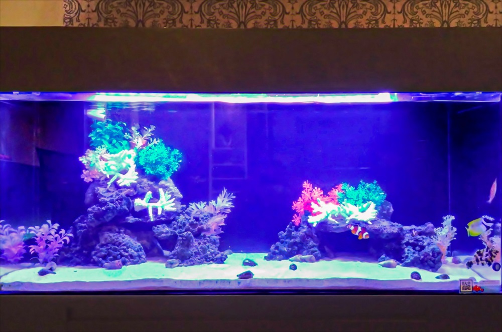 ホテル　120cm海水魚水槽　水槽アップ画像