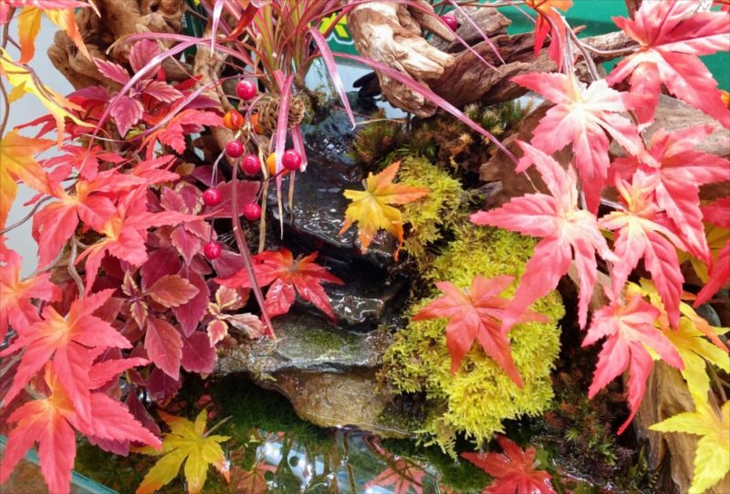秋の紅葉レイアウト!120cmアクアテラリウム水槽レンタル 水槽画像5