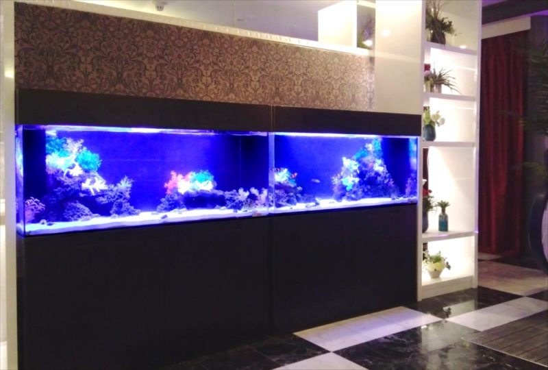 ホテルのエントランス 120cm海水魚水槽 レンタル事例 その後 水槽画像5