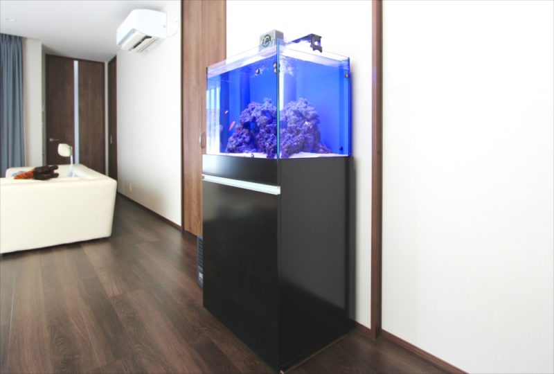 個人宅 60cm海水魚水槽 販売・メンテナンス事例 世田谷区 水槽画像2