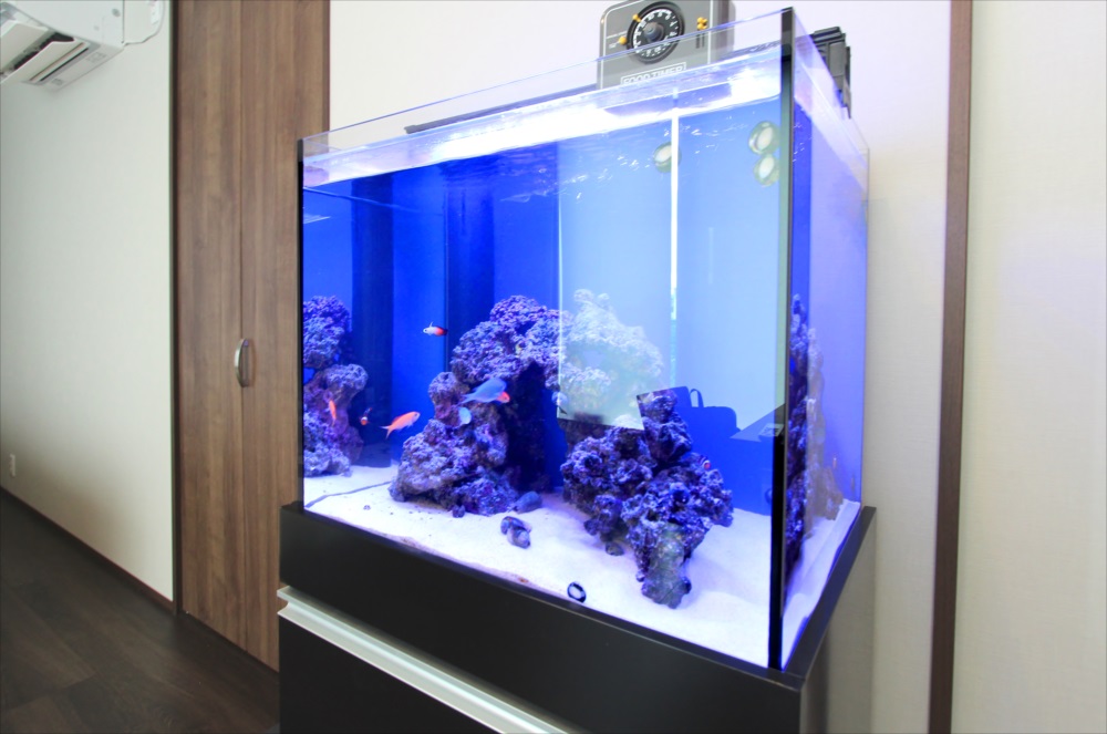 個人宅 60cm海水魚水槽 左斜め画像