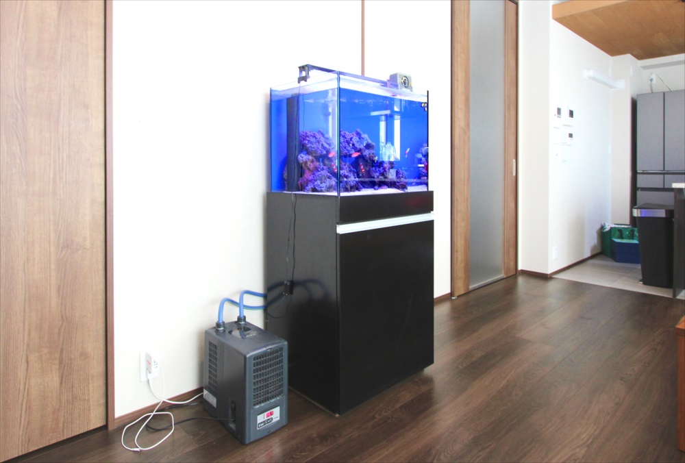 個人宅 60cm海水魚水槽 販売・メンテナンス事例 世田谷区