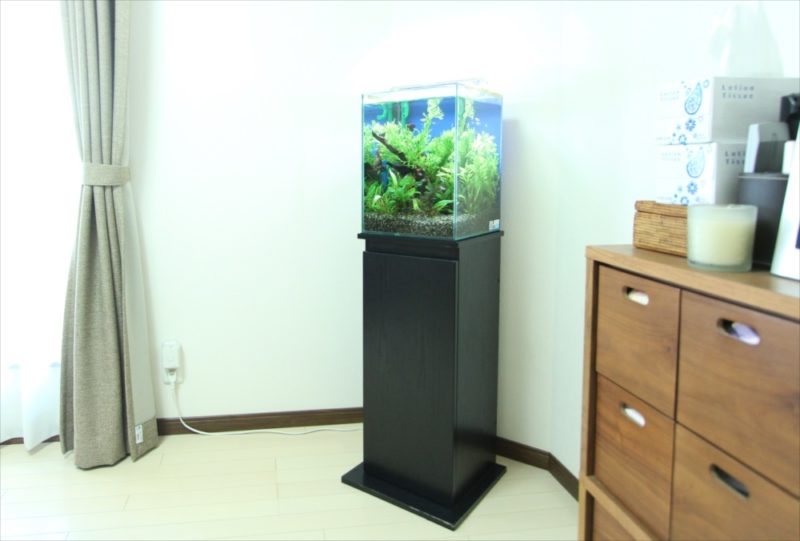お試しから本契約へ　個人宅　30cm淡水魚水槽レンタル事例 水槽画像１