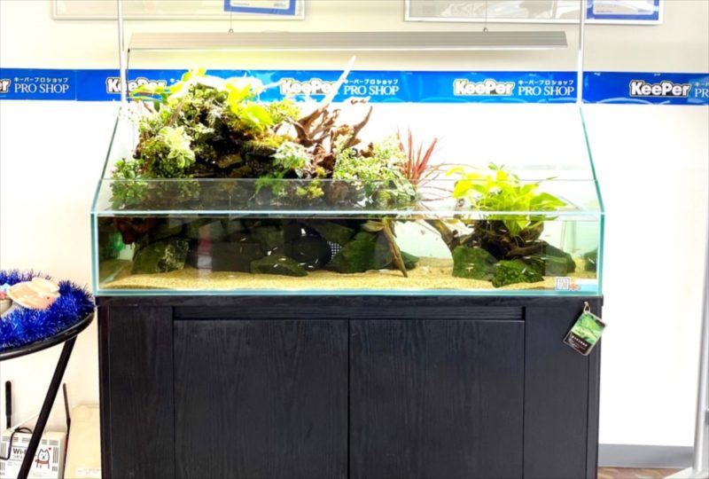 店舗 120cmアクアテラリウム水槽 レンタル事例 水槽画像2