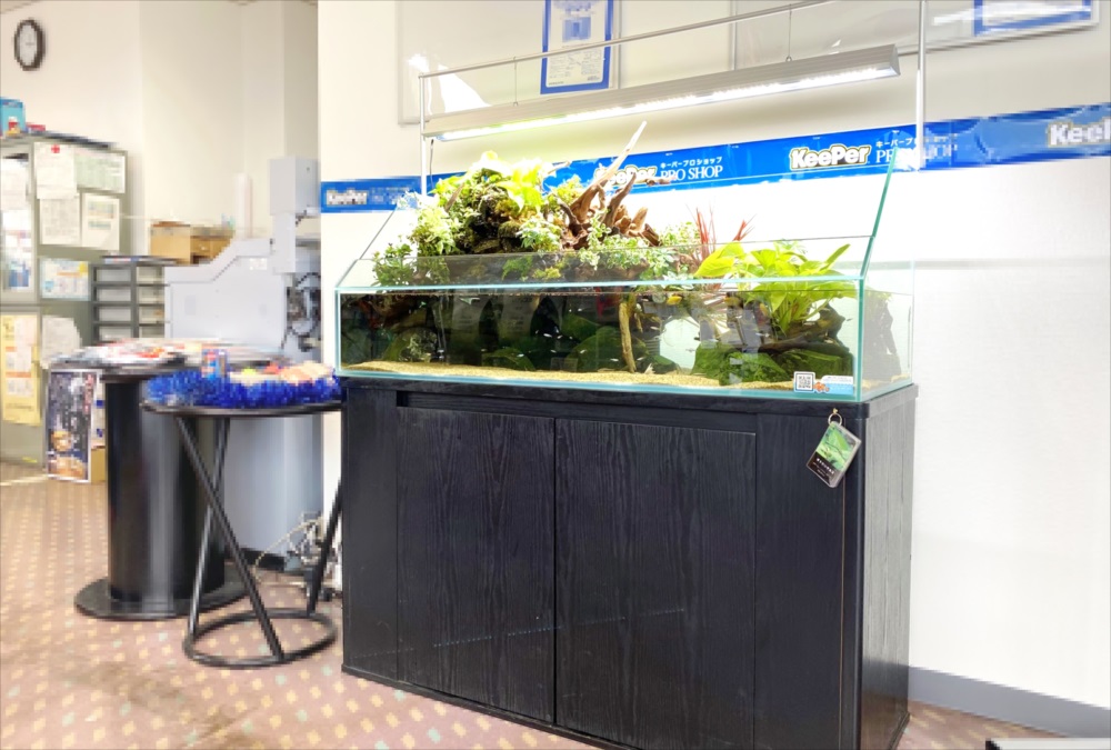 店舗　120cmアクアテラリウム水槽　レンタル事例　のサムネイル画像