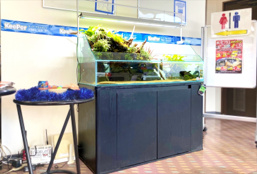 店舗　120cmアクアテラリウム　水槽斜め画像