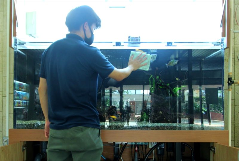 大型淡水魚水槽をメンテナンス管理しています 水槽画像４