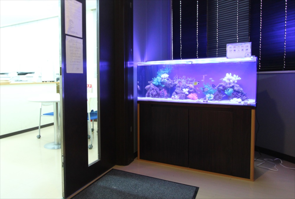 120cm海水魚水槽 オフィスに設置 全体斜め画像