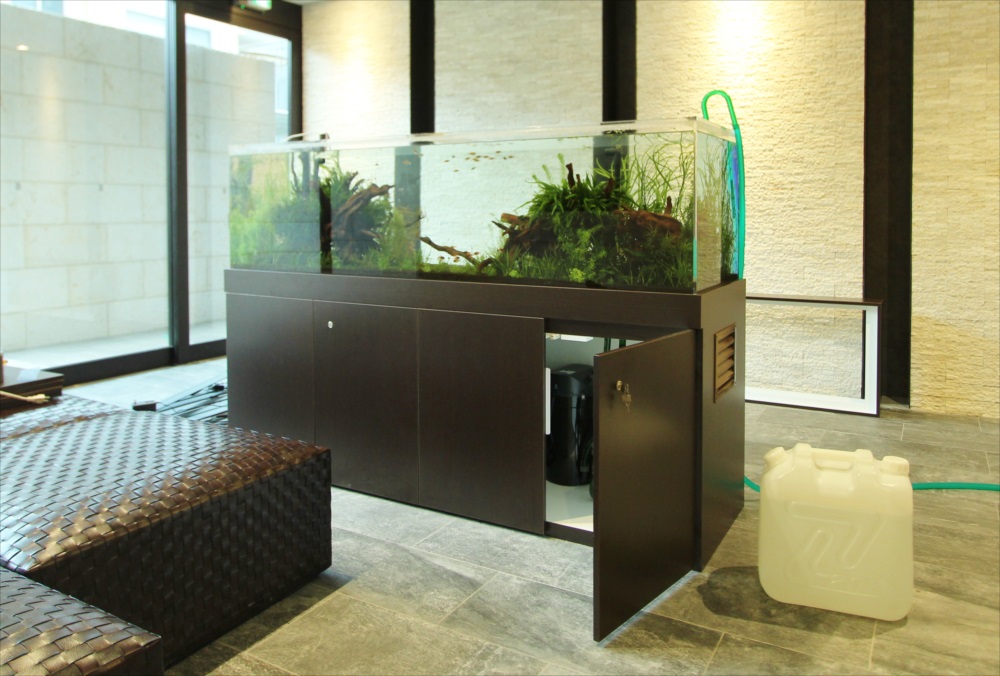 マンションのエントランス　180cm淡水魚水槽　水槽台画像