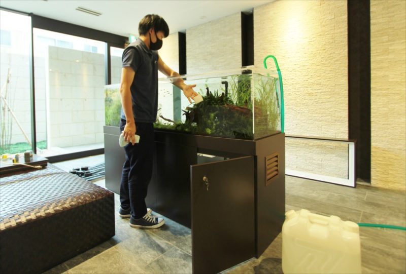 練馬区 マンションのエントランス 大型水槽リース事例 その後 水槽画像4