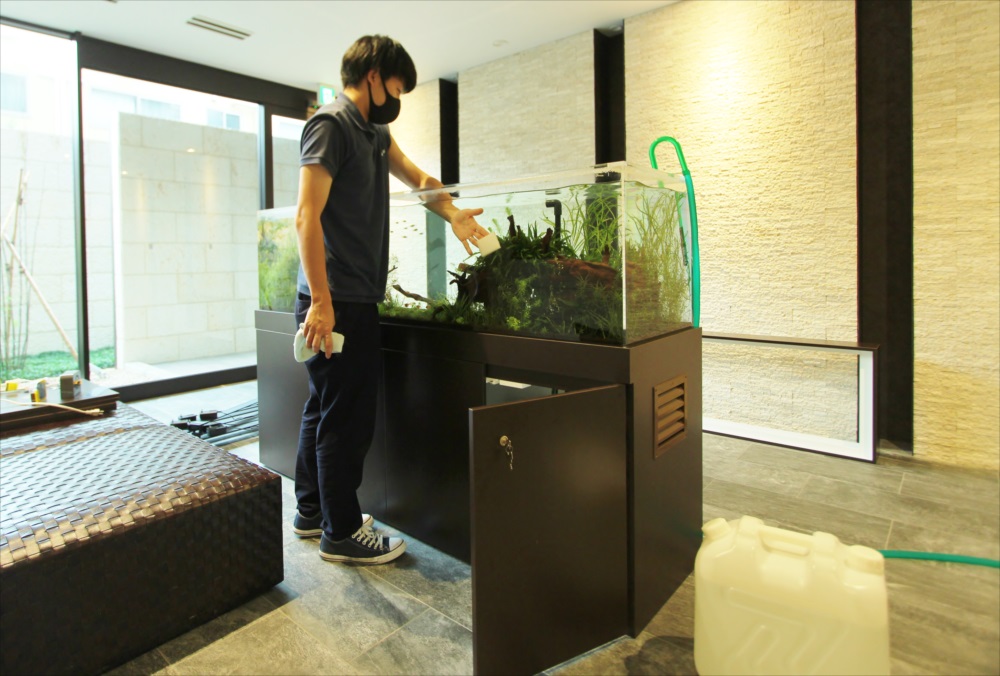 マンションのエントランス　180cm淡水魚水槽　メンテナンス画像