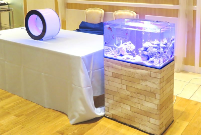 アクアリウムウェディング 水槽短期レンタル事例 水槽画像1