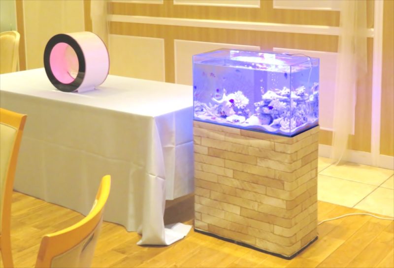 アクアリウムウェディング 水槽短期レンタル事例 水槽画像5