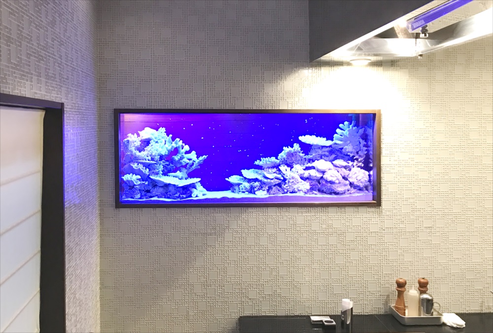 150cm淡水魚水槽 スポットメンテナンス 正面画像