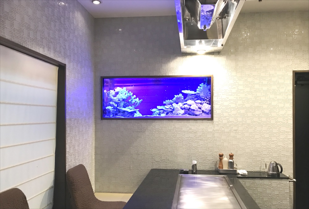 150cm淡水魚水槽 スポットメンテナンス 水槽全体画像