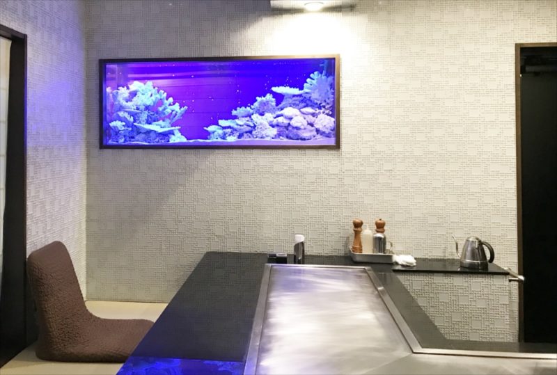 飲食店のシクリッド水槽をスポットメンテナンス 水槽画像5