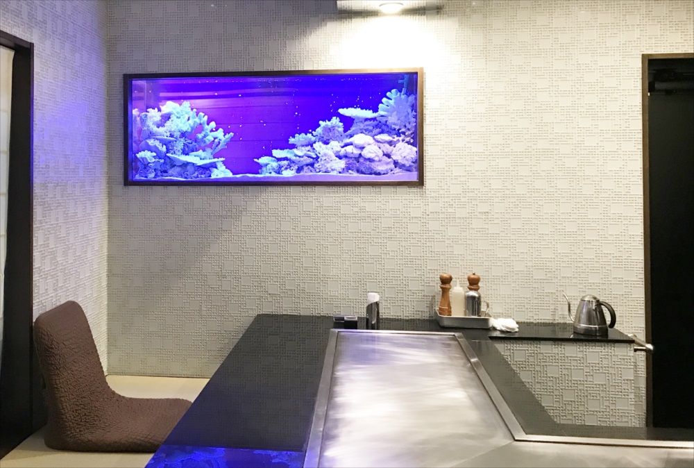 150cm淡水魚水槽 スポットメンテナンス 水槽画像