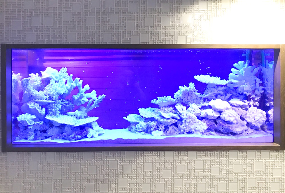 150cm淡水魚水槽 スポットメンテナンス 水槽正面画像