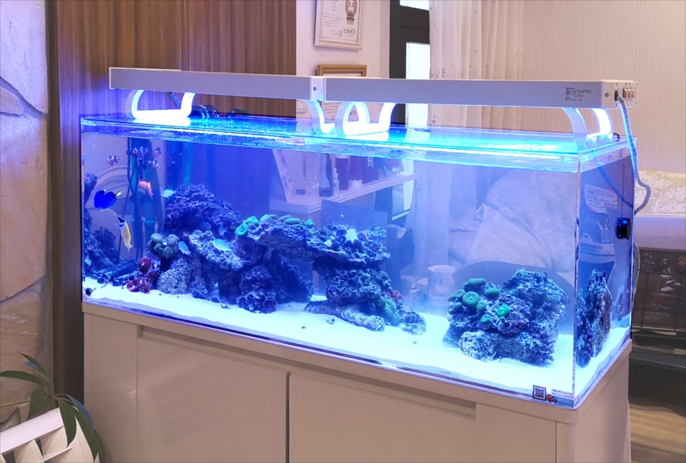 美容サロン　120cm海水魚水槽　水槽斜め画像