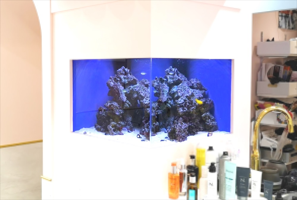 美容室 壁埋め込み型 60cm海水魚 水槽斜め画像