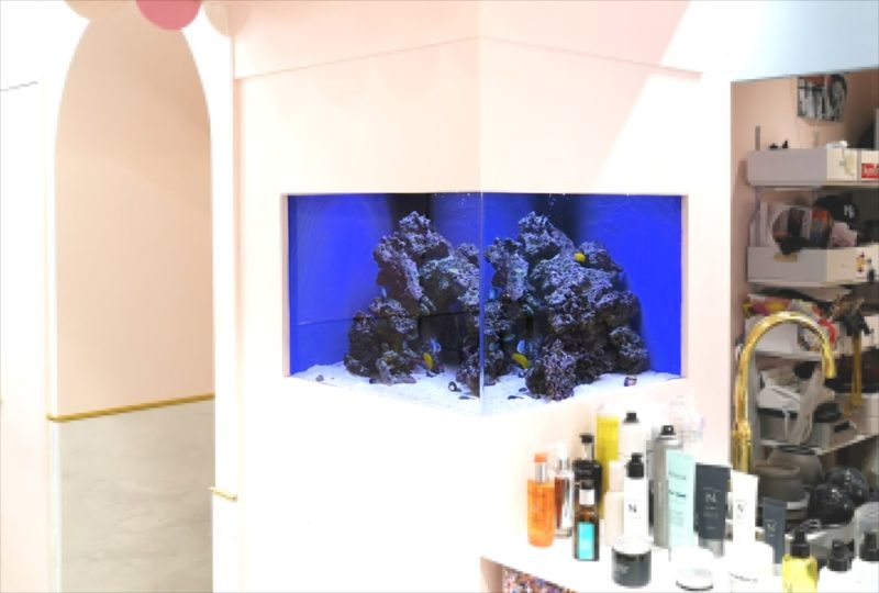 美容室 壁埋め込み型60cm海水魚水槽 販売・メンテナンス事例 その後 水槽画像2