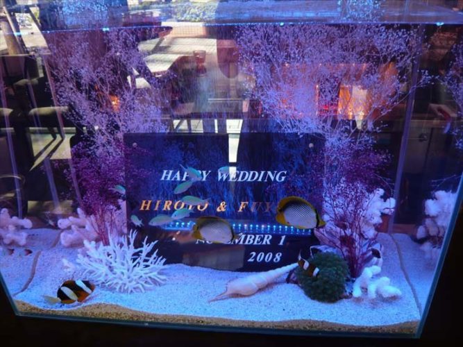 ウェディングメッセージ入りプレートを設置した海水魚水槽