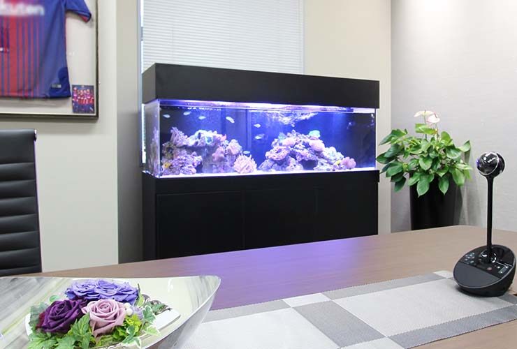 会議室に設置された大型の海水魚水槽と室内の観葉植物