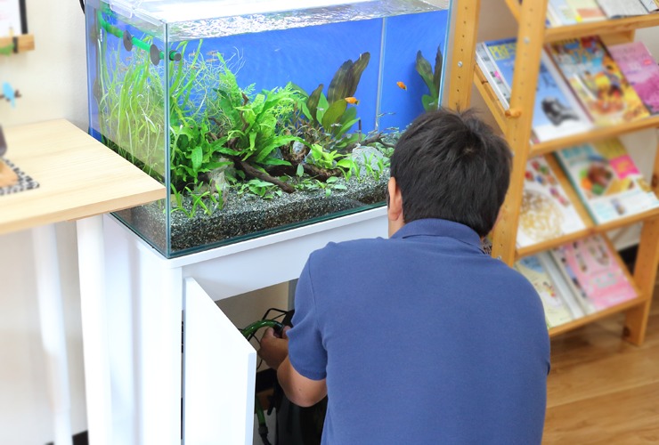 東京アクアガーデンの水槽リースサービスの設置作業