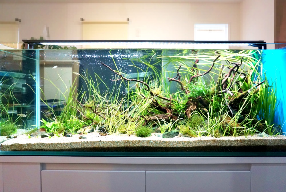 個人宅　120cm淡水魚水槽　正面画像