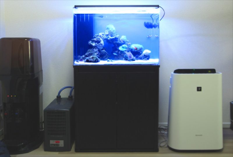 個人宅 リビング 60cm海水サンゴ水槽 レンタル事例 水槽画像5