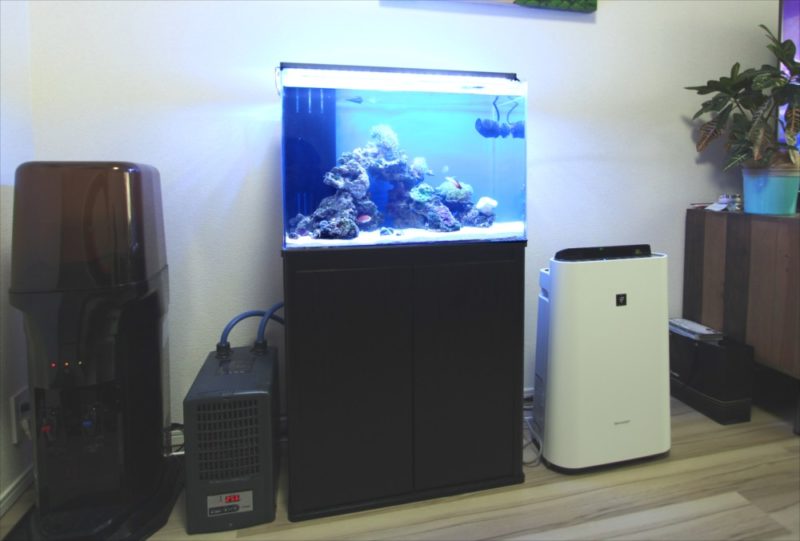 個人宅 リビング 60cm海水サンゴ水槽 レンタル事例 水槽画像1