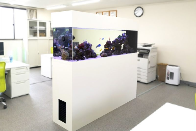神奈川県 オフィス事務所 180cm海水・サンゴ水槽リース事例 その後 水槽画像2