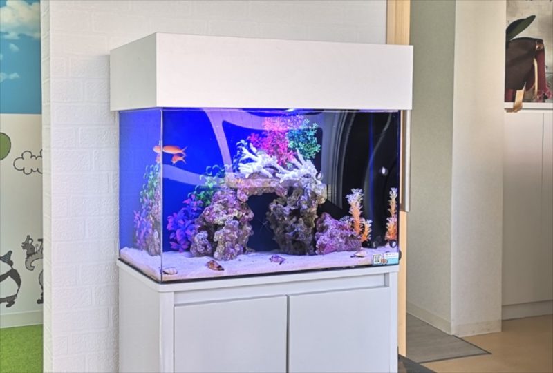 さいたま市 歯科クリニック 60cm海水魚水槽 水槽レンタル設置事例 水槽画像2