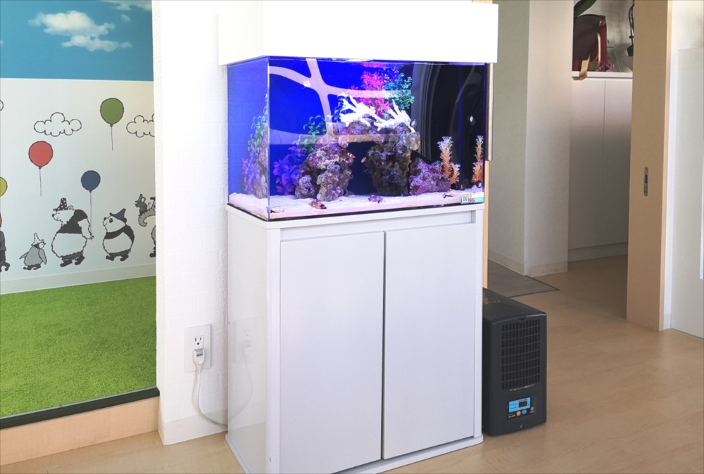 さいたま市 歯科クリニック 60cm海水魚水槽 水槽レンタル設置事例のサムネイル画像